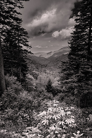 Great Smoky Mountain National Park from the Blue Ridge Parkway