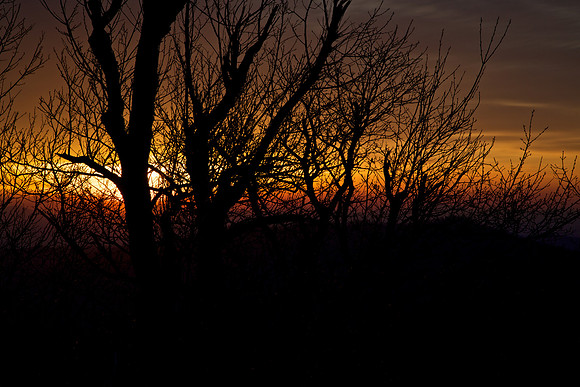 Sunrise: Pounding Mill Overlook, Blue Ridge Parkway, Brevard, NC