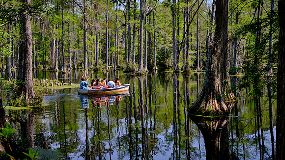 Cypress Gardens, Moncks Corner, SC