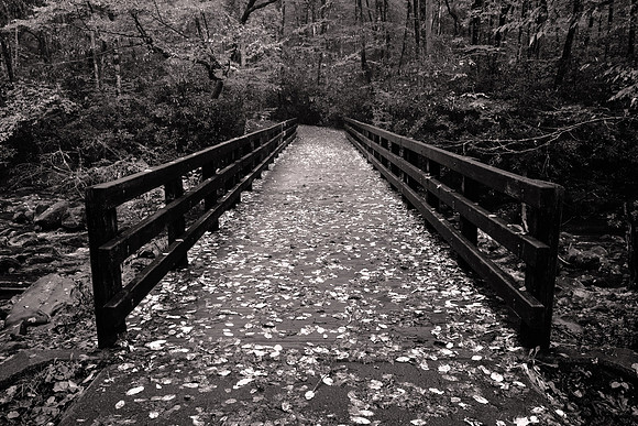 Bridge over the Oconaluftee River