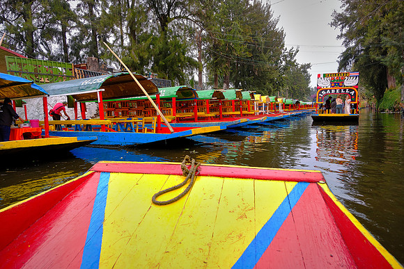 And one afternoon we punted on Lake Xochimilco.