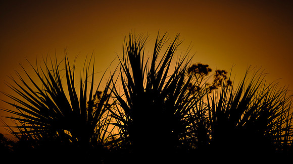Sunset in the Everglades National Park