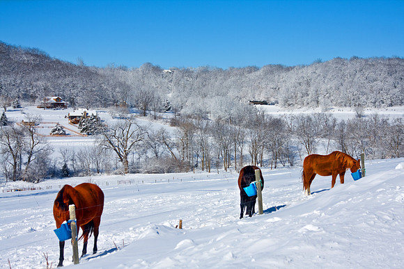 Galena Snow