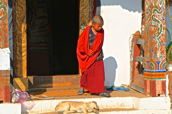 Chimi Lakhang ("No Dog") Temple