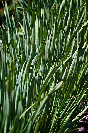 2014 March - Columbia SC Zoo