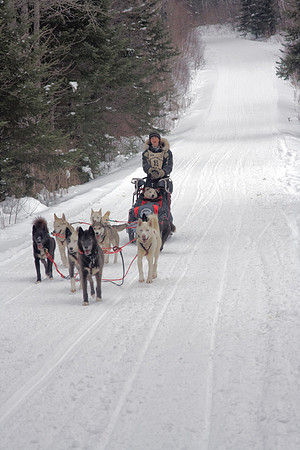 The John Beargrease