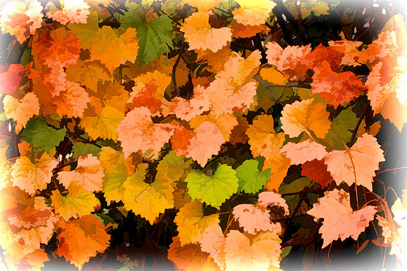 Lake Norman State Park - Fall Color