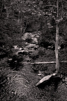 2024 Sept - Great Smoky Mountains National Park in B&W