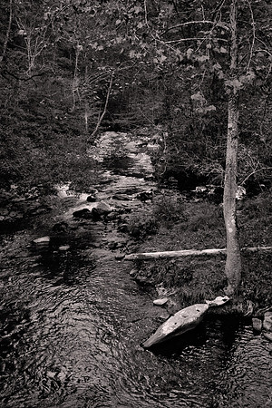 Oconaluftee River