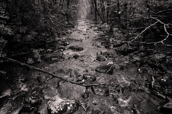 Oconaluftee River