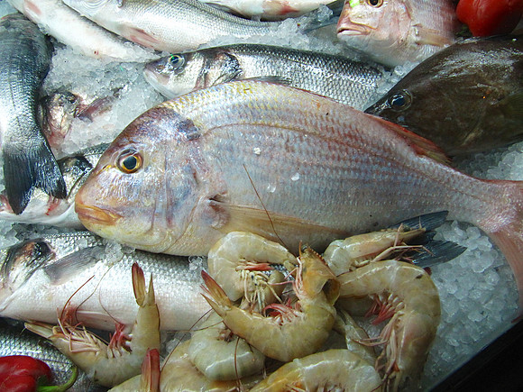 Fish market