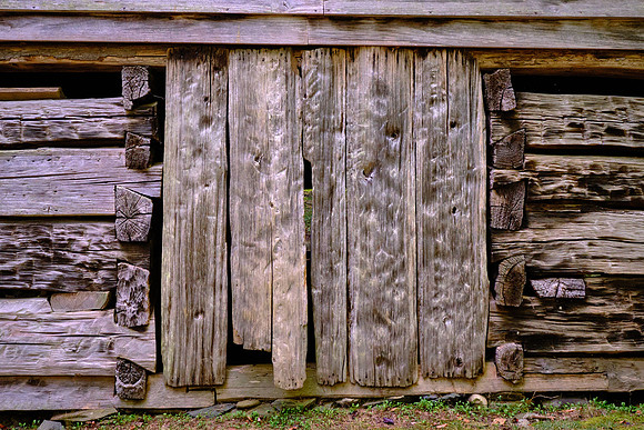 Ogle's great-grandfather, William Ogle (1756–1803), was the first Euro-American settler in the Gatlinburg area,