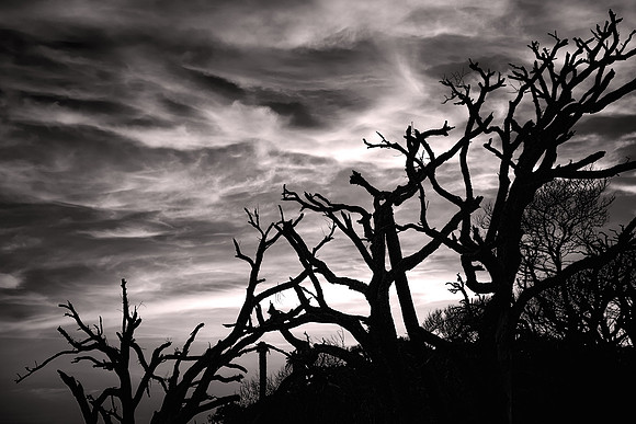2015.March: Edisto Island, South Carolina