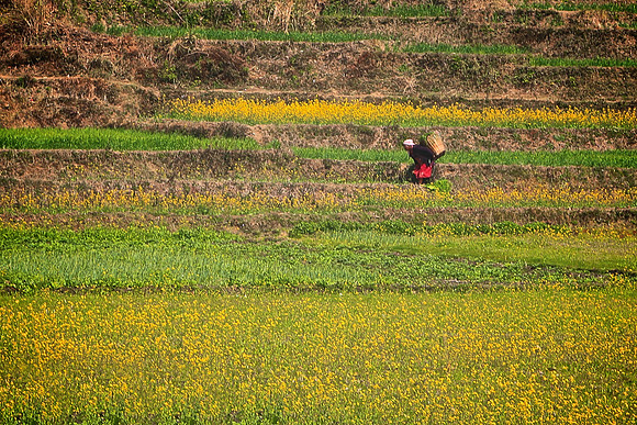 Rural life on the outskirts of Kathmandu