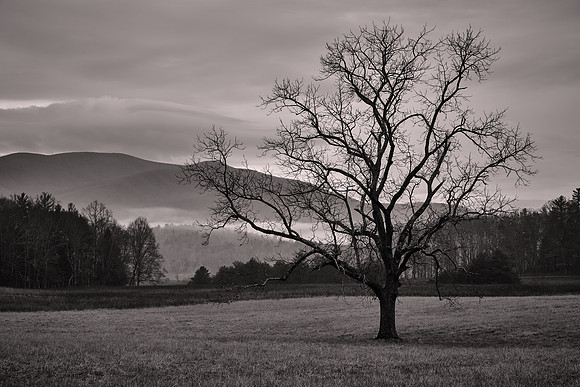 2014 December: Cades Cove, Tennessee