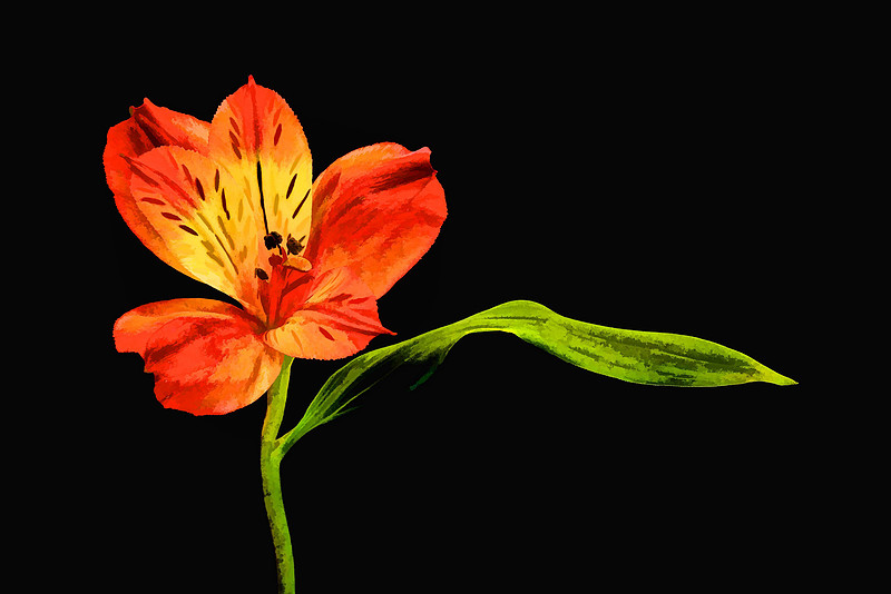 Andrea's Flowers, Herndon, VA