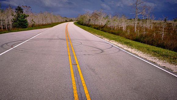 On the road from Florida City to Flamingo, Everglades National Park