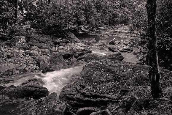 Straight Fork - Raven Fork, GSMNP