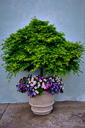 Charleston, SC