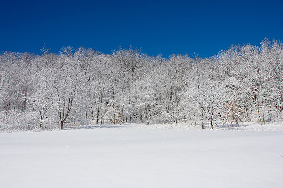 Galena Snow