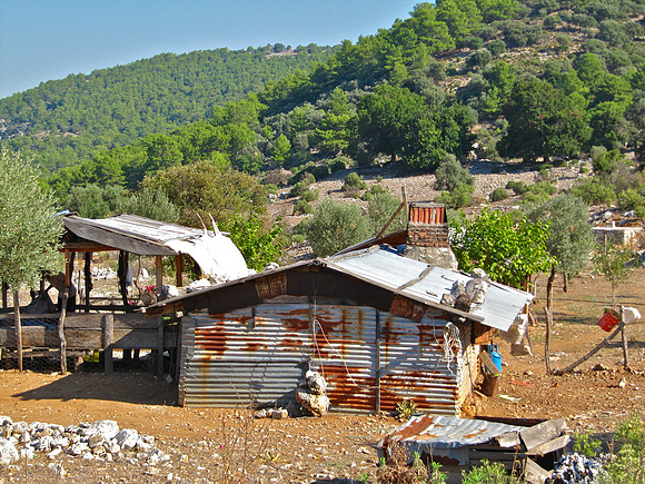 Turkish nomads