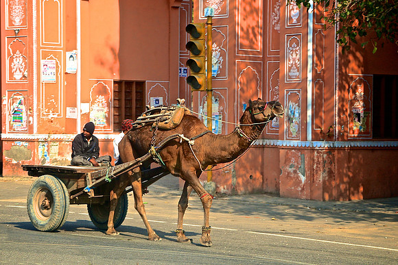Downtown Jaipur, India