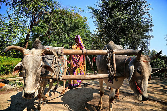 On the road to Khajuraho, India