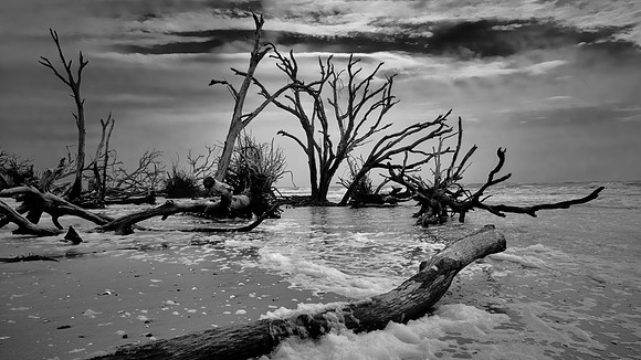 Botany Bay, Edisto Island, SC