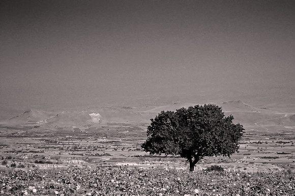 2011 September: Turkey