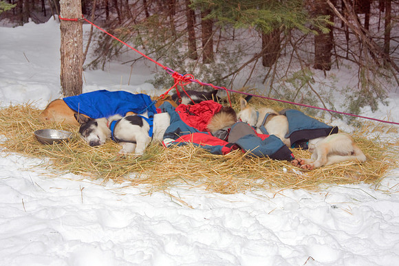 The John Beargrease