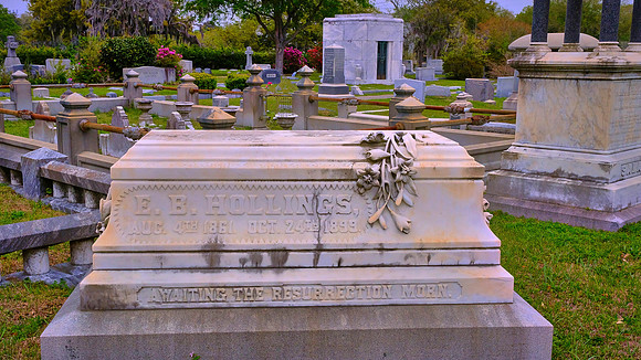 Magnolia Cemetery, Charleston, SC
