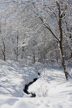 Galena Snow