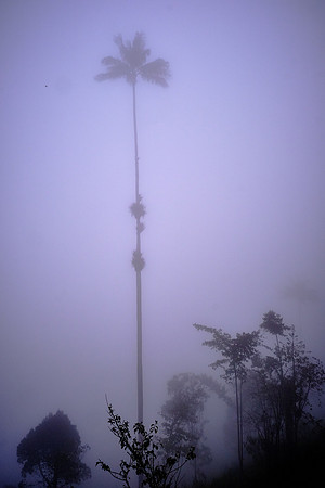 And well into the cloud.