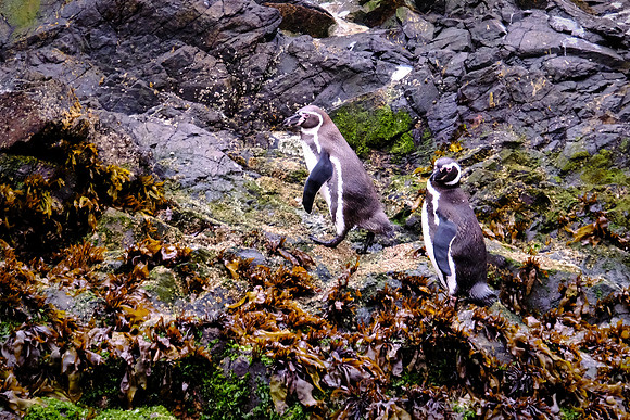 Achao, Chiloe Island, Chile