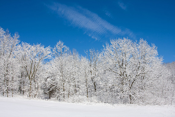 Galena Snow
